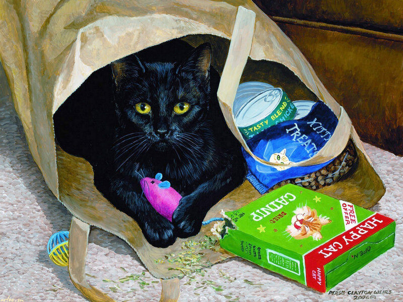 Black Cat in Bag — Curious