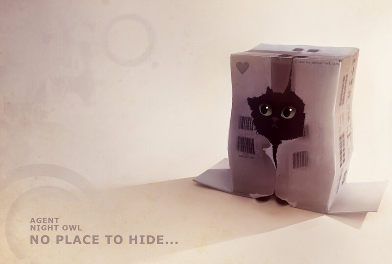 Black Cat in Box
