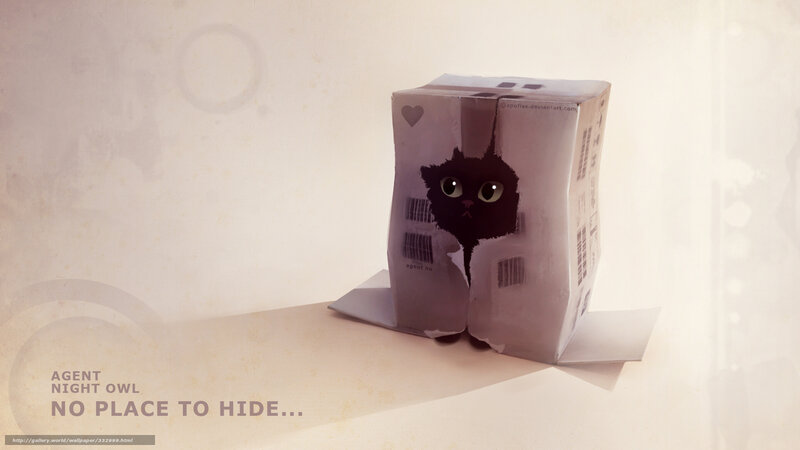 Black Cat in Box — White, Playful