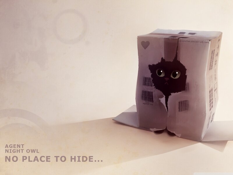 Black Cat in Box — White