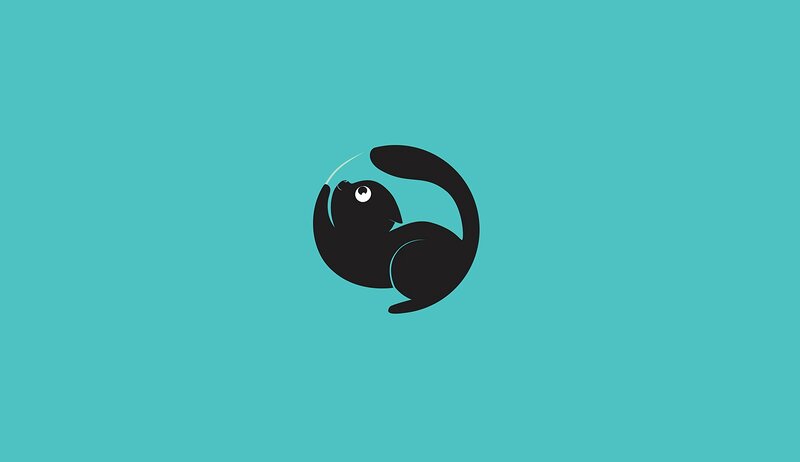 Black Cat in Circle