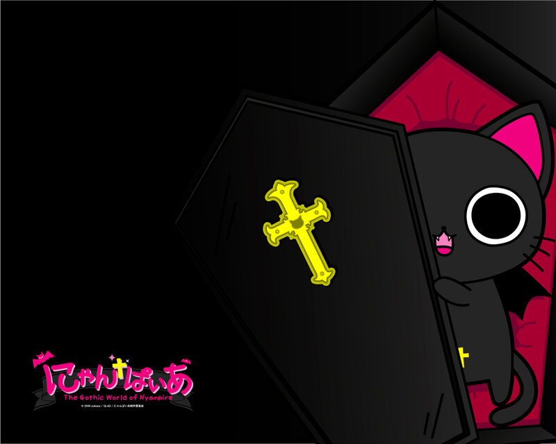 Black Cat in Coffin — Playful, Night