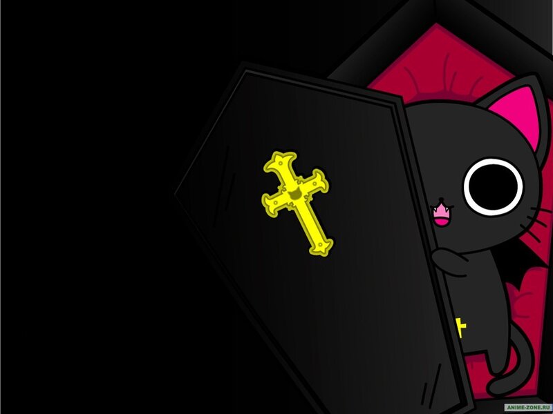 Black Cat in Coffin — Playful