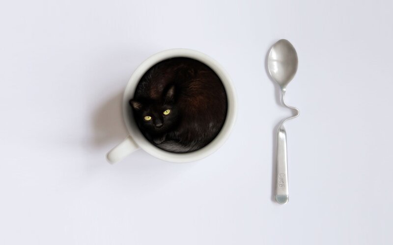 Black Cat in Cup — White
