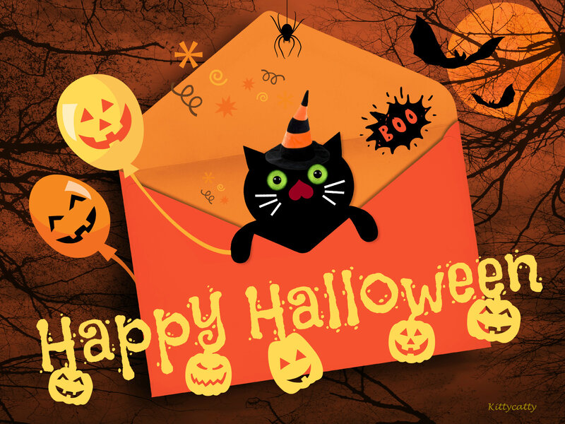 Black Cat in Envelope
