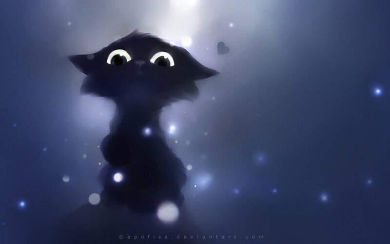 Black Cat in Fog — Blue