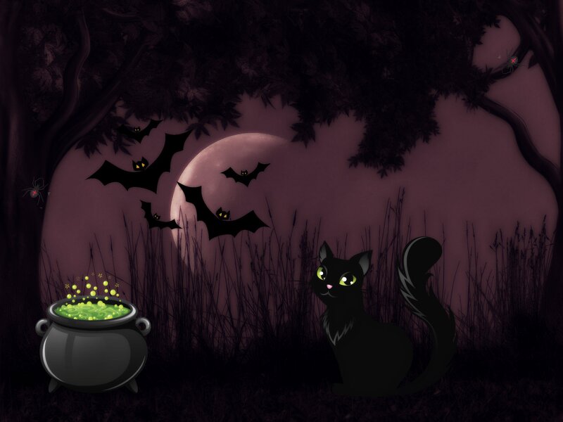 Black Cat in Forest — Spooky