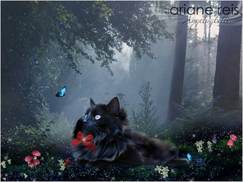 Black Cat in Forest