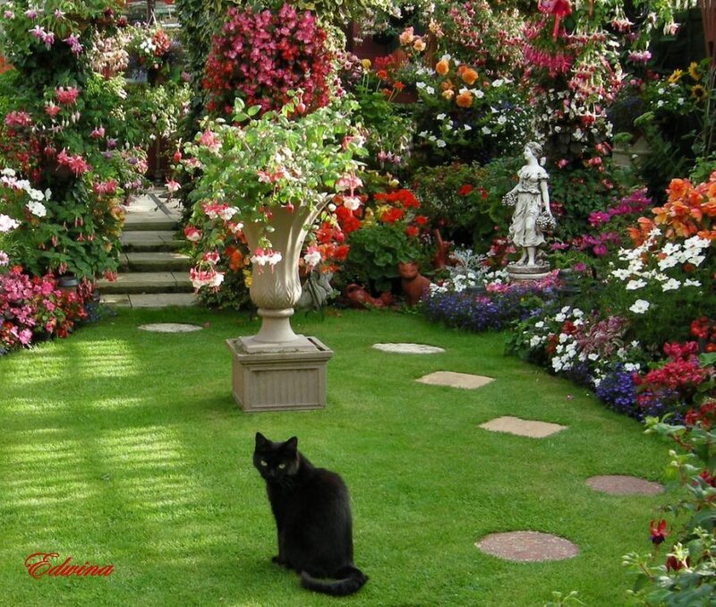 Black Cat in Garden — Green, Serene