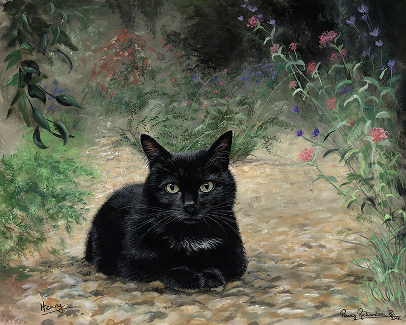 Black Cat in Garden — Serene, Spring