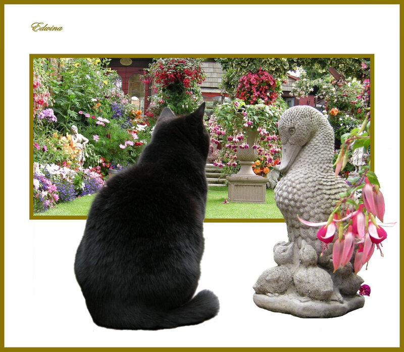 Black Cat in Garden — Serene