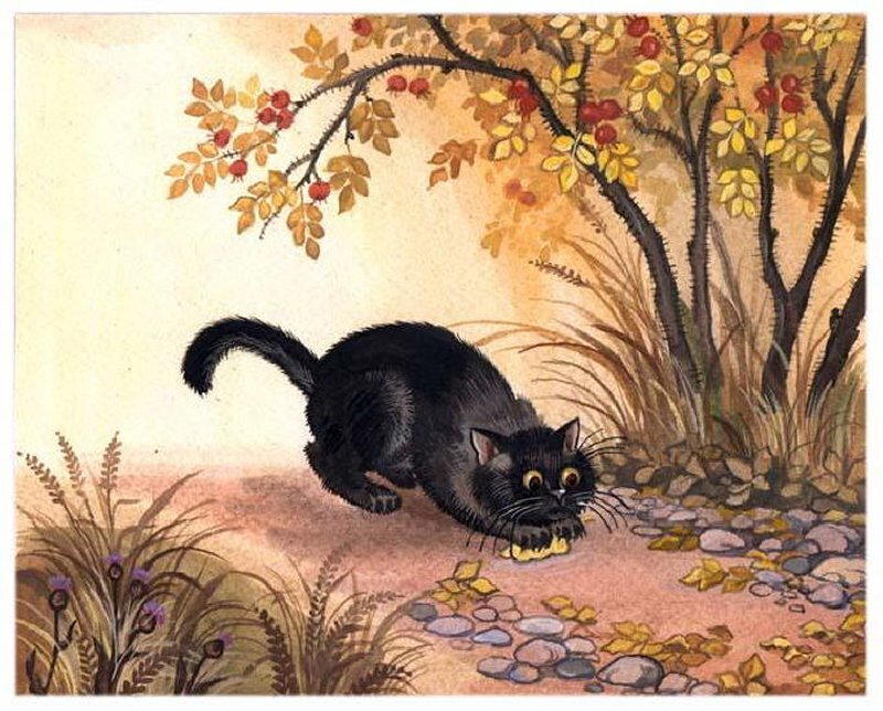 Black Cat in Garden — Yellow