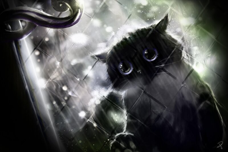 Black Cat in Glass — Dramatic, Digital Art, Light