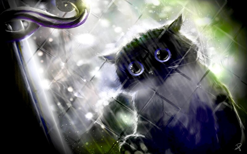 Black Cat in Glass — Dramatic, Digital Art