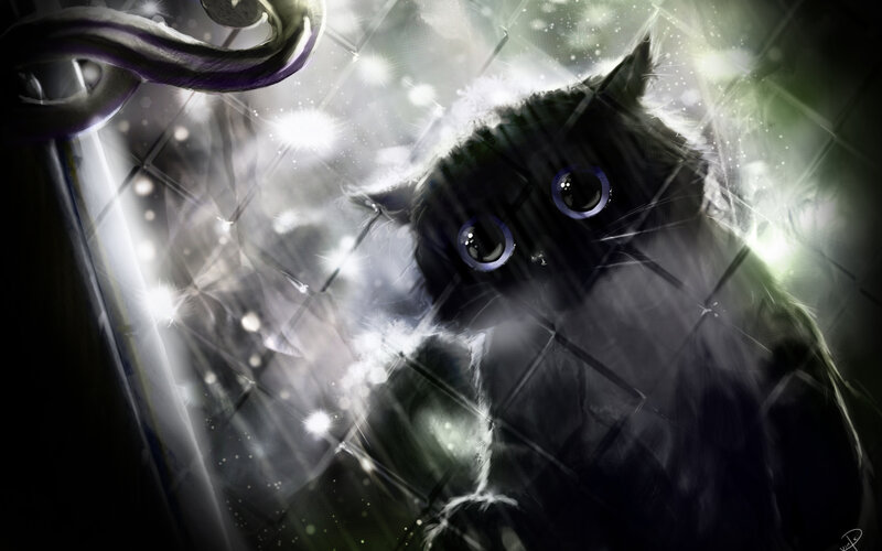 Black Cat in Glass — Dramatic