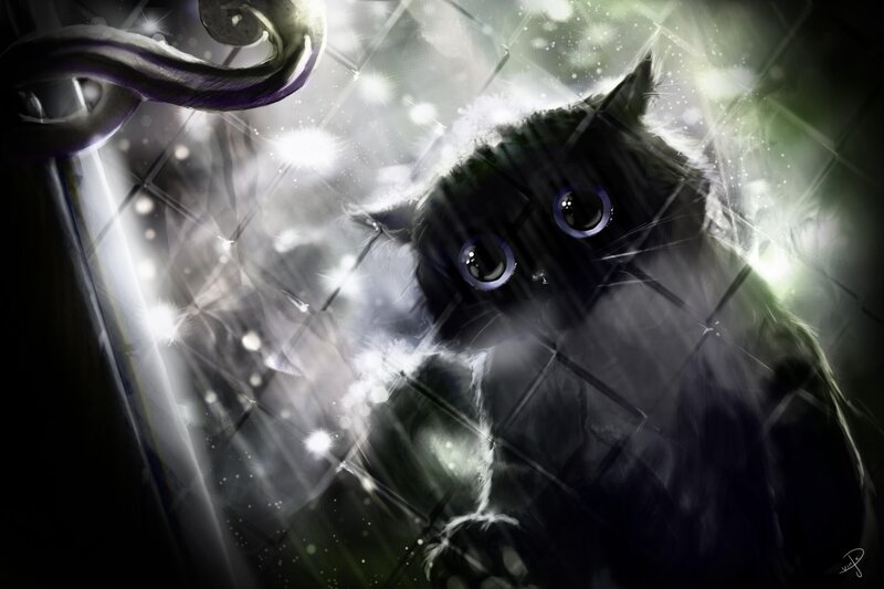 Black Cat in Glass