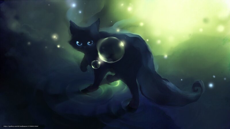 black cat in glowing mist