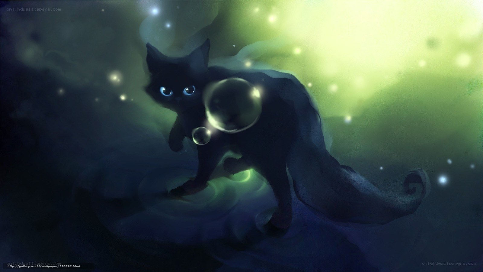 black cat in glowing mist