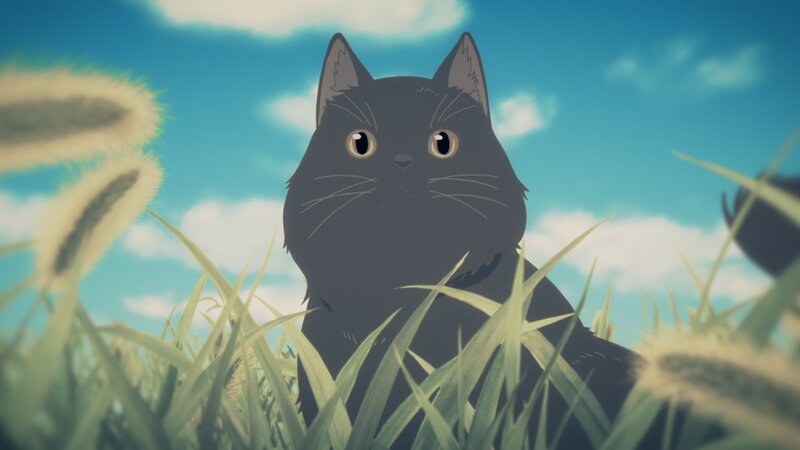 Black Cat in Grass — Blue, Calm