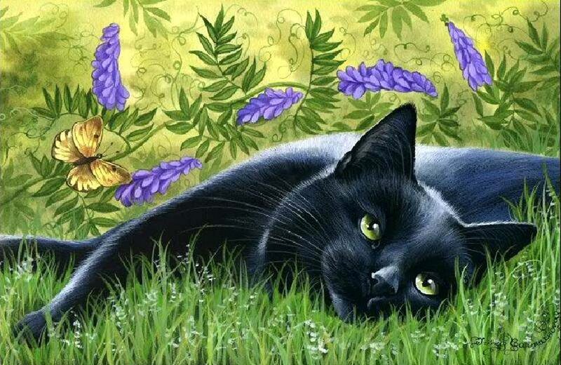 Black Cat in Grass — Green, Serene, Spring