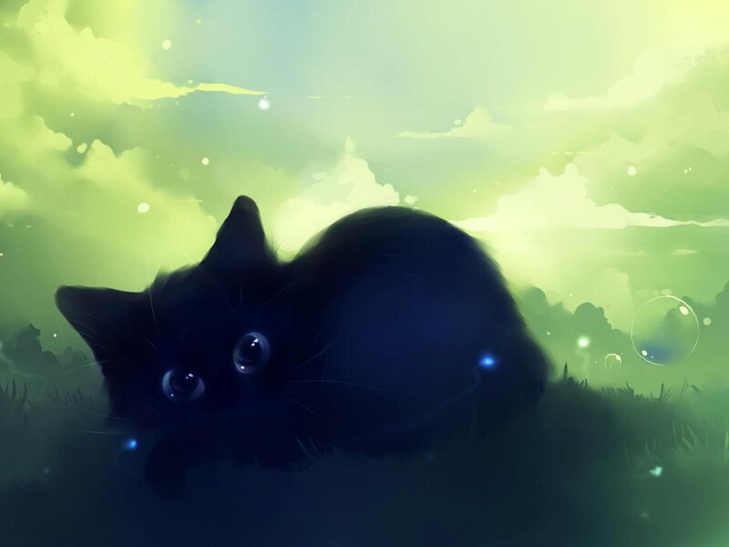 Black Cat in Grass — Green, Serene