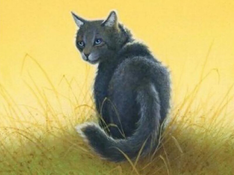 Black Cat in Grass — Yellow, Calm