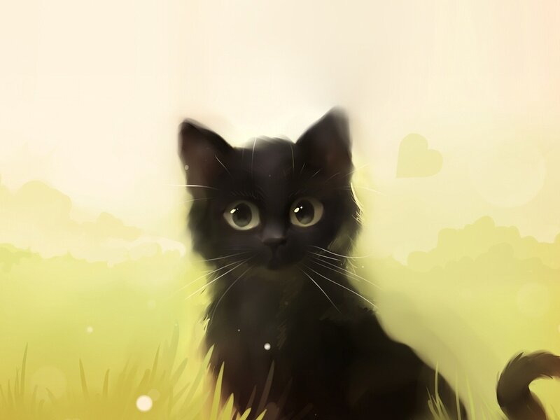 Black Cat in Grass — Yellow, Serene, Afternoon