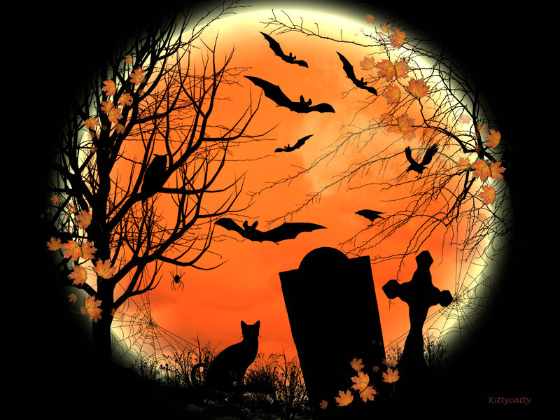 Black Cat in Graveyard — Orange