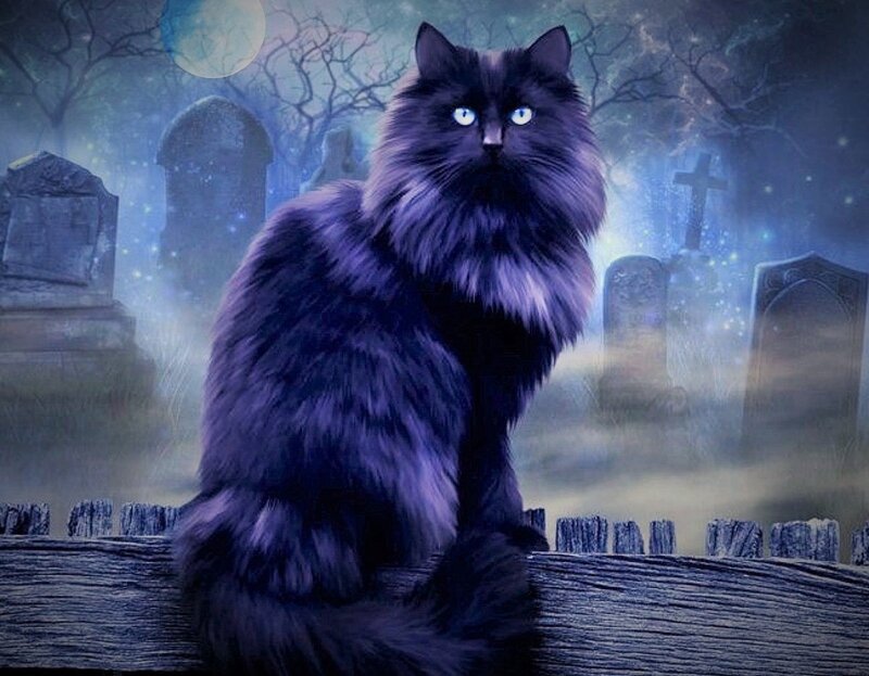 Black Cat in Graveyard — Purple