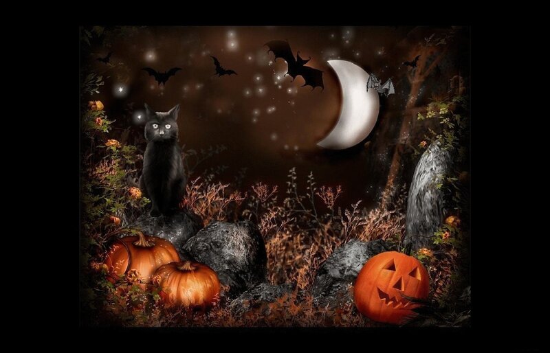 Black Cat in Graveyard — Spooky