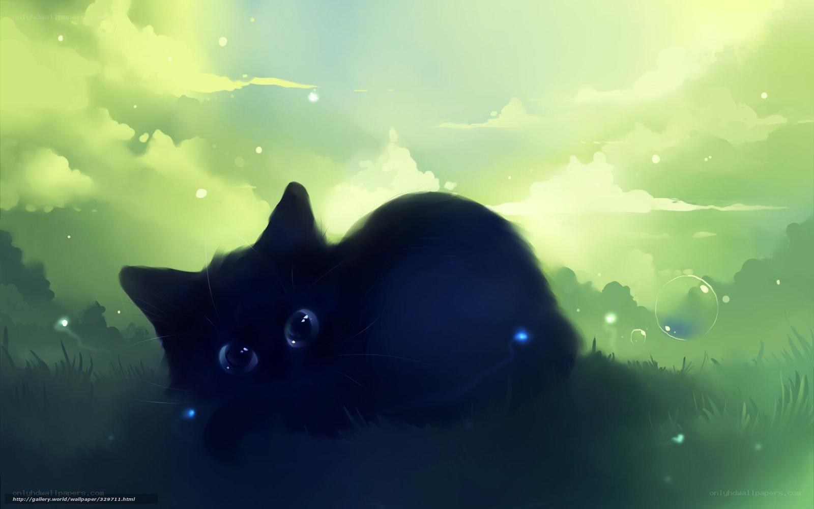 Black cat in green field