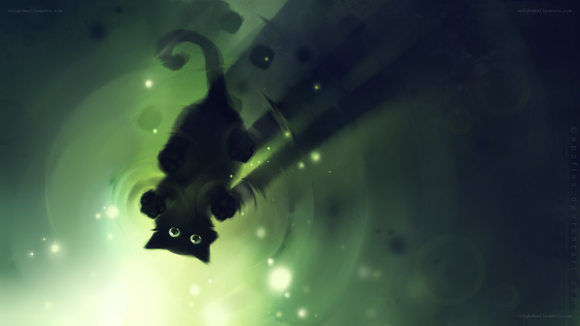 black cat in green light