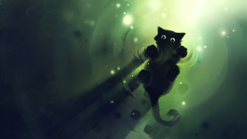 Black Cat in Green Light — Dreamy