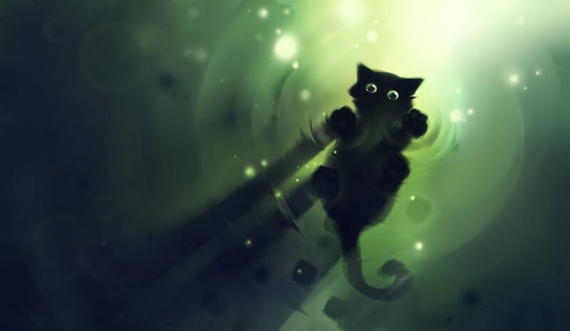 Black Cat in Green Light — Mysterious