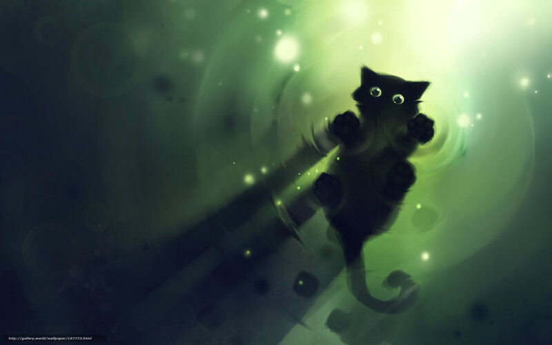 black cat in green light