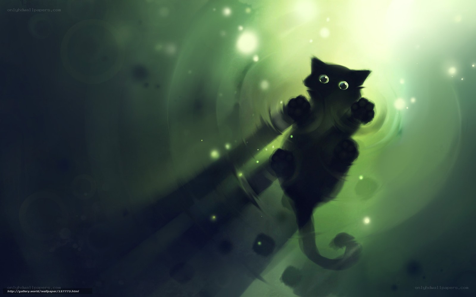 black cat in green light