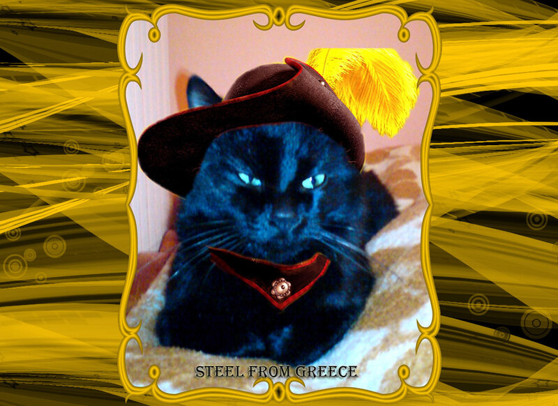 Black Cat in Hat