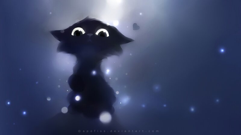 Black Cat in Mist — Blue