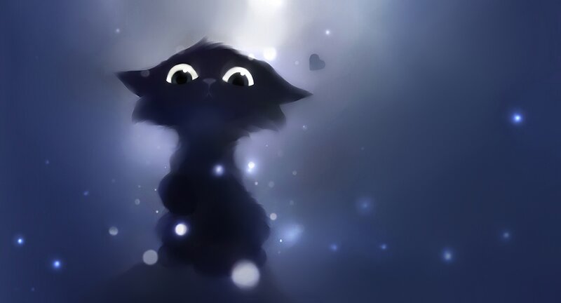 Black Cat in Mist