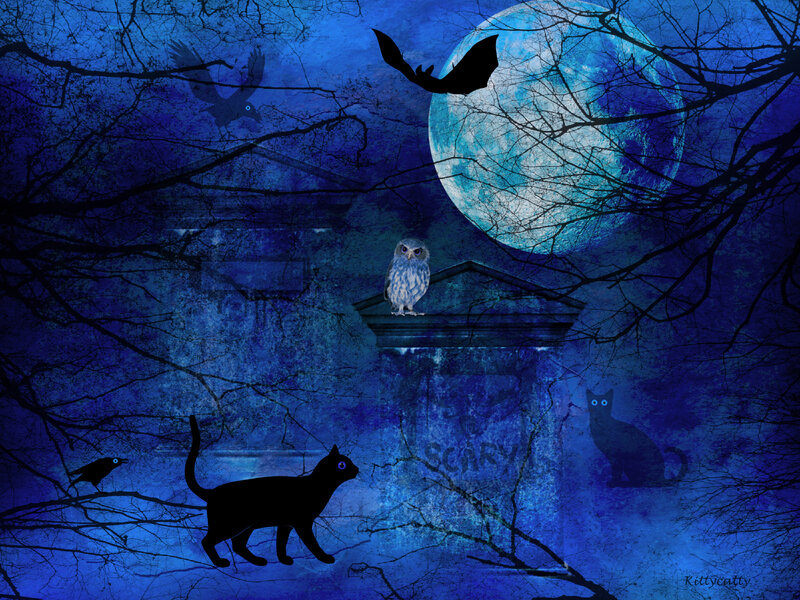 Black Cat in Moonlight — Blue