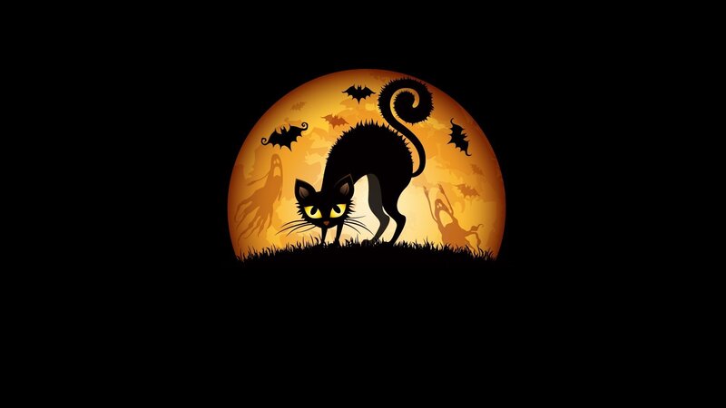 Black Cat in Moonlight — Spooky