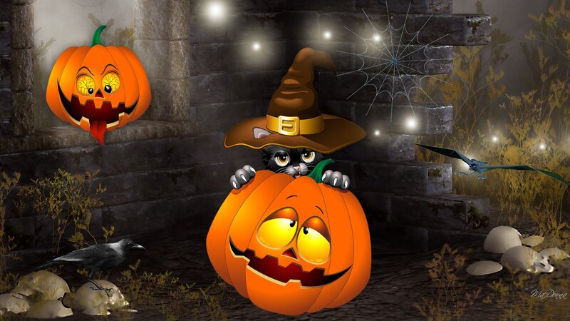 Black Cat in Pumpkin — Orange, Creepy