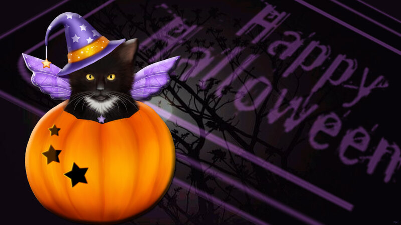 Black Cat in Pumpkin — Orange, Festive