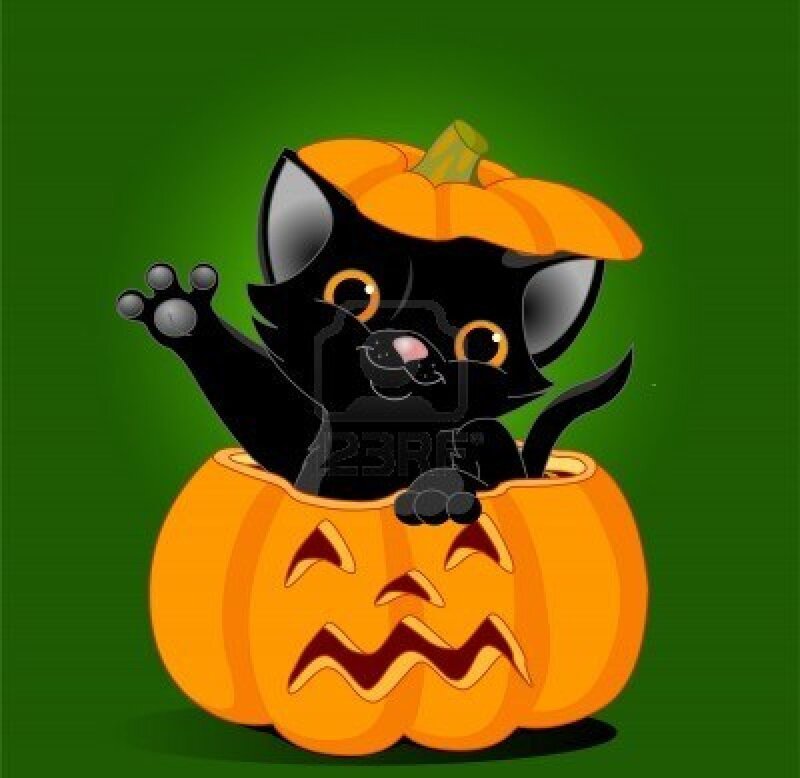Black Cat in Pumpkin — Orange, Playful, Autumn