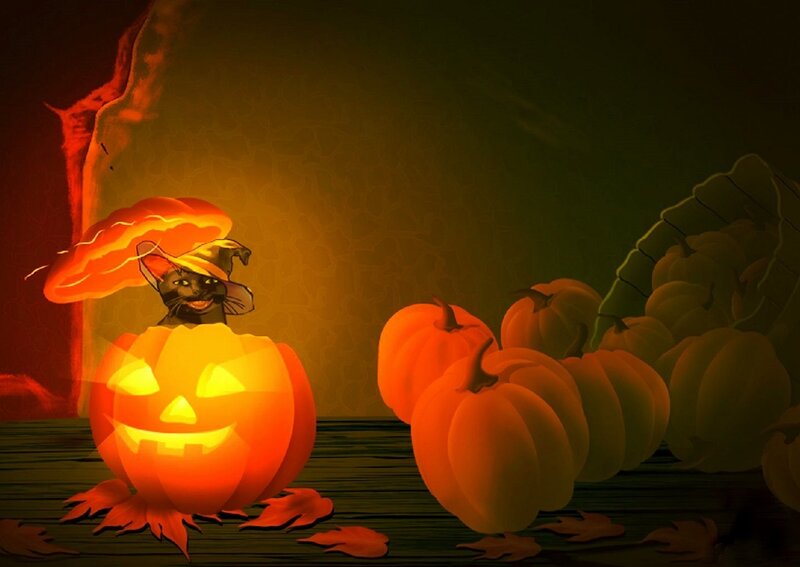 Black Cat in Pumpkin — Orange, Spooky, Night
