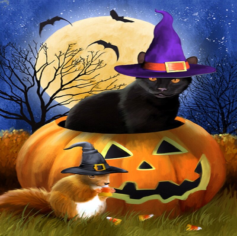 Black Cat in Pumpkin — Orange, Spooky
