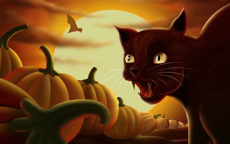 Black Cat in Pumpkin Patch — Orange, Dramatic, Night