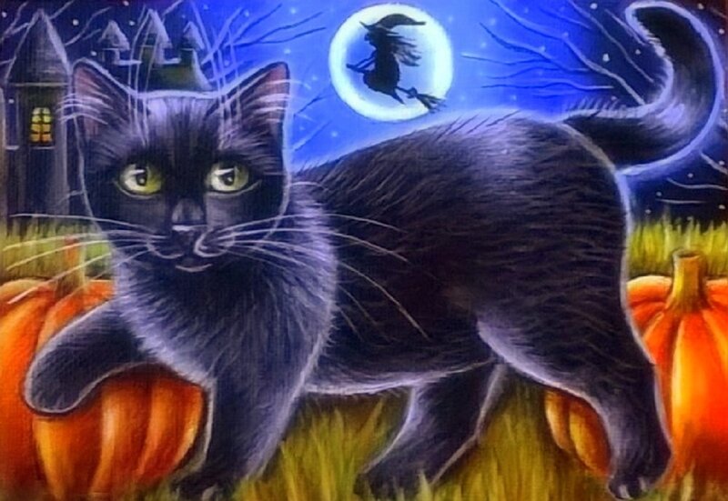 Black Cat in Pumpkin Patch — Spooky