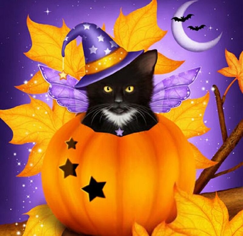 Black Cat in Pumpkin — Purple
