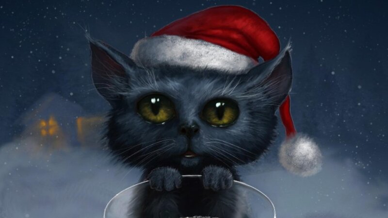 Black Cat in Santa Hat — Gray, Festive